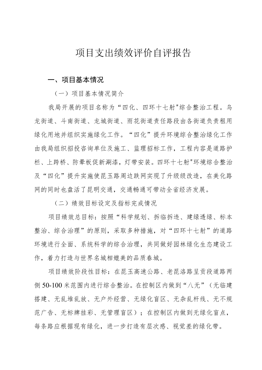 项目支出绩效评价自评报告.docx_第1页