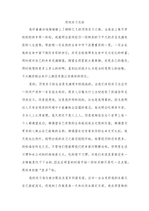 顶岗实习总结.docx