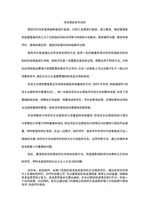 项目绩效自评目的.docx