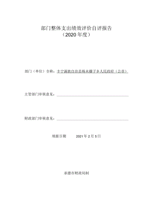 部门整体支出绩效评价自评报告2020年度.docx