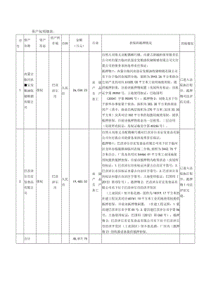 资产包明细表.docx