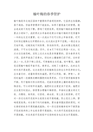 榆叶梅的春季管护.docx