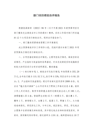 部门项目绩效自评报告.docx