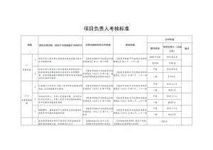 项目负责人考核标准.docx