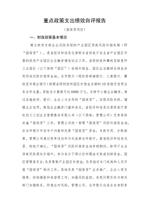 重点政策支出绩效自评报告.docx