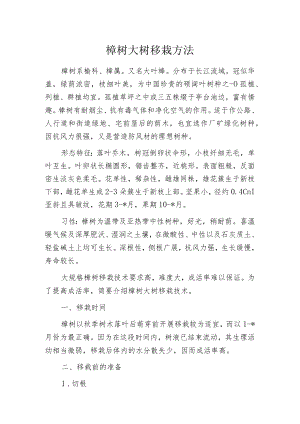 榉树大树移栽方法.docx