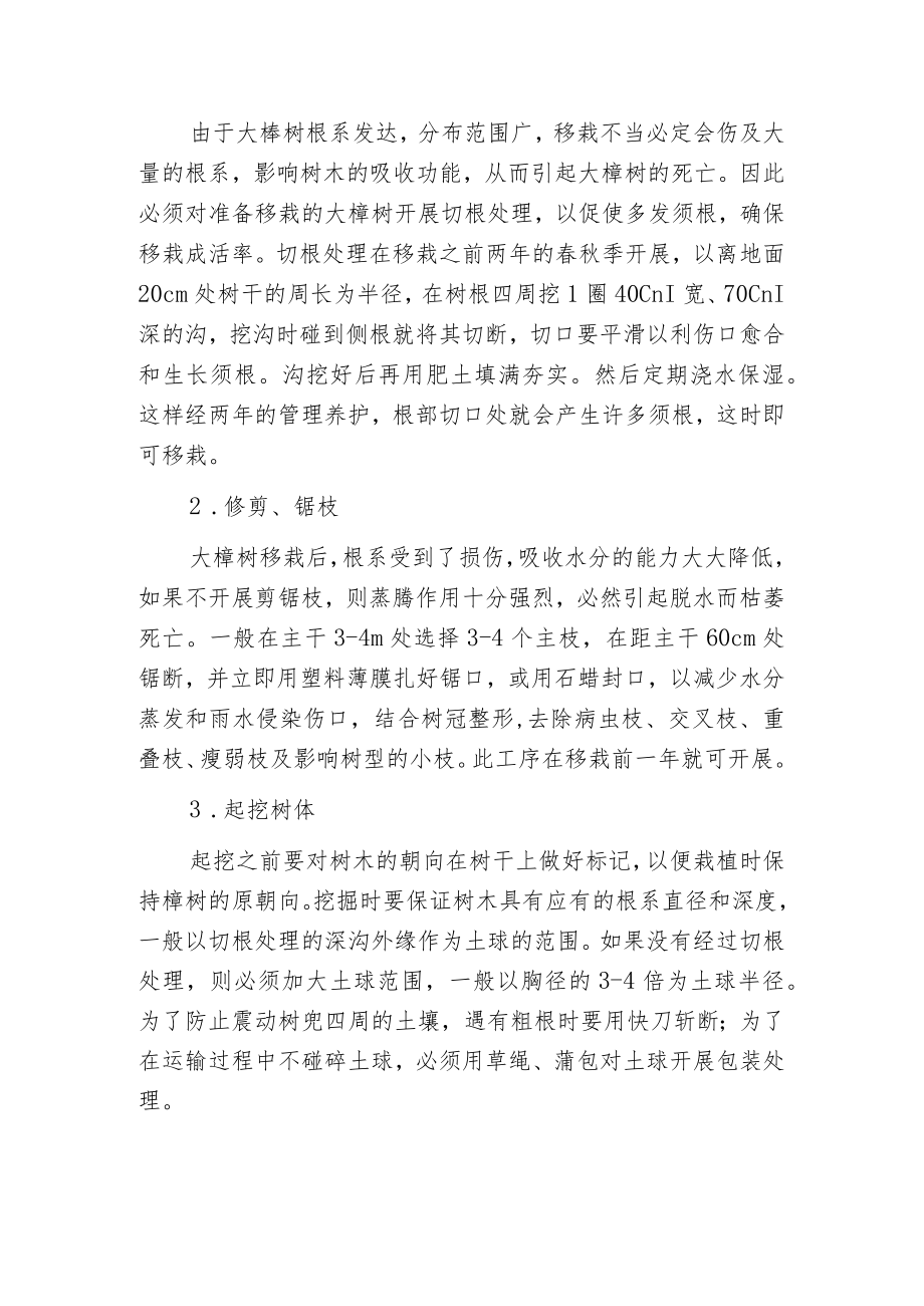 榉树大树移栽方法.docx_第2页