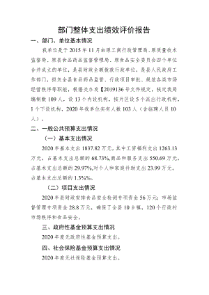 部门整体支出绩效评价报告(4).docx