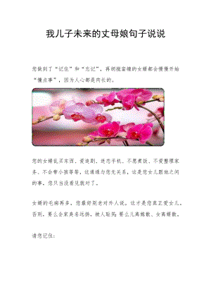 我儿子未来的丈母娘句子说说.docx