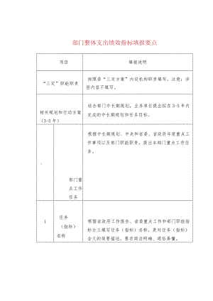 部门整体支出绩效指标填报要点.docx