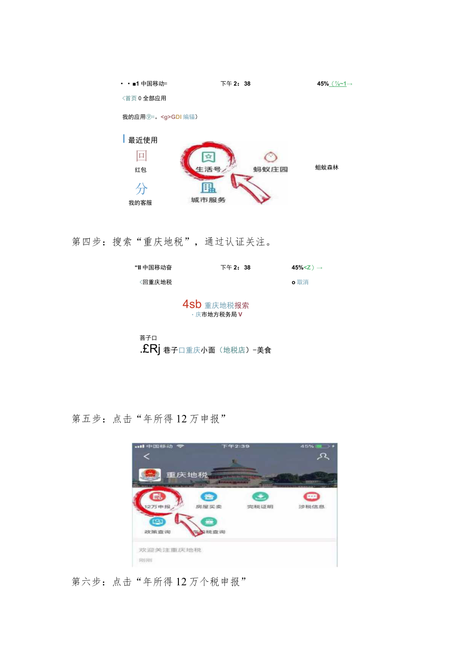 通过“支付宝”申报的操作流程.docx_第2页