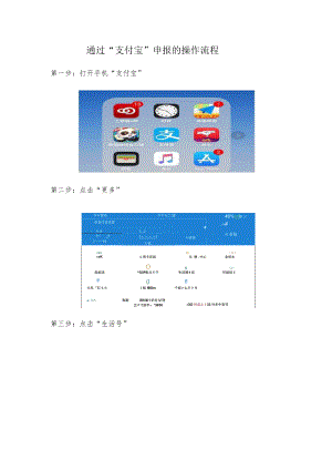 通过“支付宝”申报的操作流程.docx