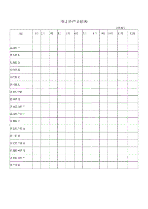 预计资产负债表.docx