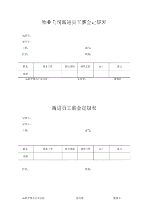 新进员工薪金定级表.docx