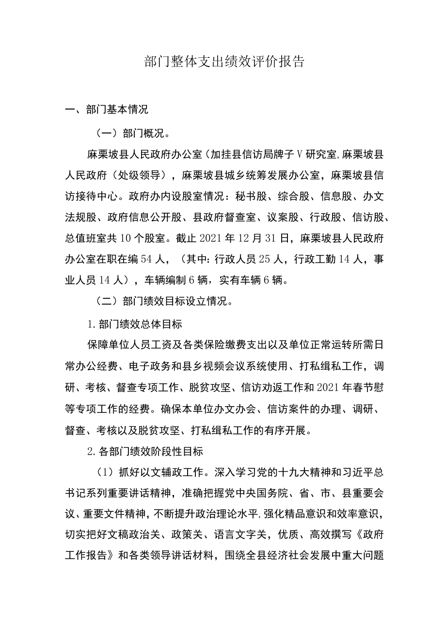 部门整体支出绩效评价报告.docx_第1页