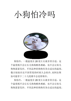 小狗怕冷吗.docx