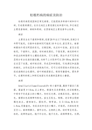 松根朽病的病症及防治.docx