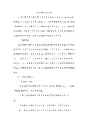 骨干教师工作计划.docx
