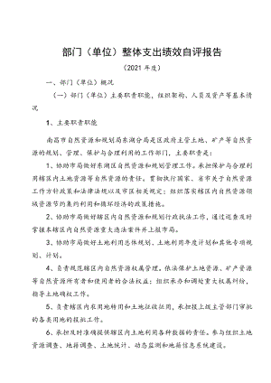 部门单位整体支出绩效自评报告.docx