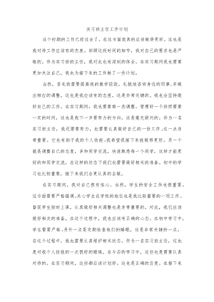 实习班主任工作计划.docx