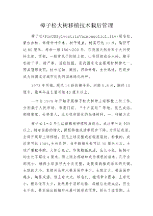樟子松大树移植技术栽后管理.docx