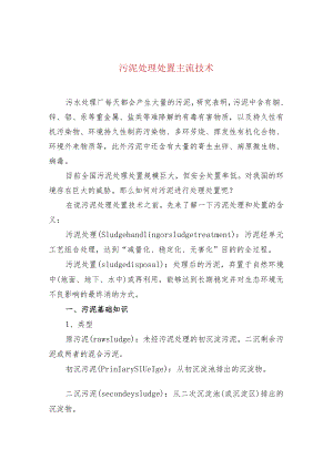 水处理--污泥处理处置主流技术.docx