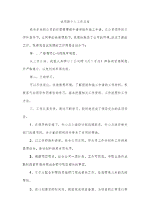 试用期个人工作总结.docx