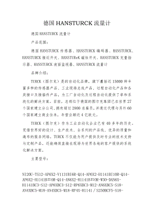德国HANS TURCK流量计.docx