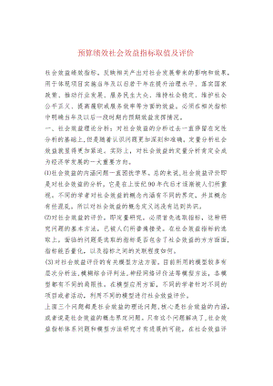 预算绩效社会效益指标取值及评价.docx
