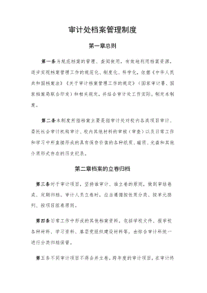 审计处档案管理制度.docx