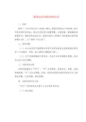 集团运营风险管理办法.docx