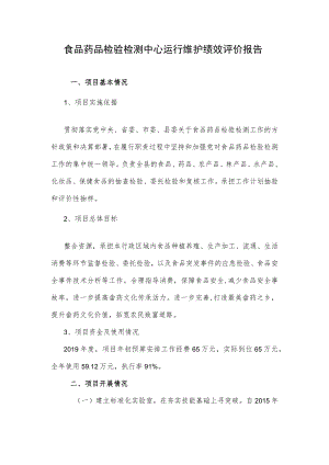 食品药品检验检测中心运行维护绩效评价报告.docx