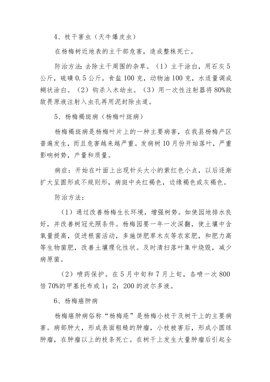 杨梅常见病虫害的防治.docx_第2页