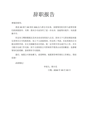 辞职申请书.docx