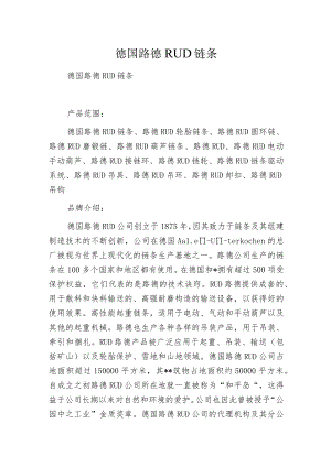 德国路德RUD链条.docx