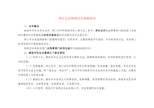 项目支出绩效自评基础知识.docx