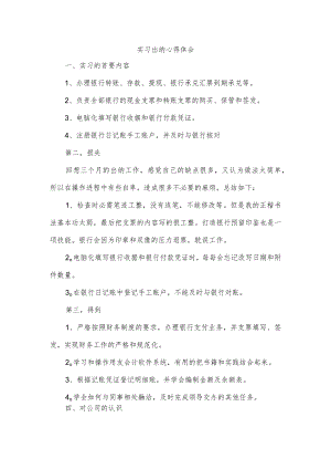 实习出纳心得体会.docx