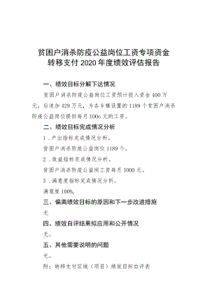 贫困户消杀防疫公益岗位工资专项资金转移支付2020年度绩效评估报告.docx
