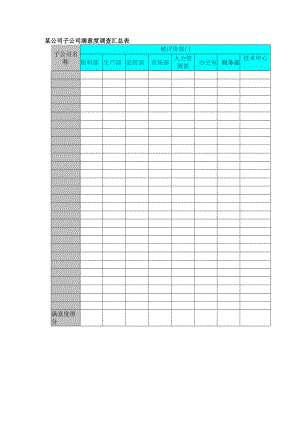 某公司子公司满意度调查汇总表.docx