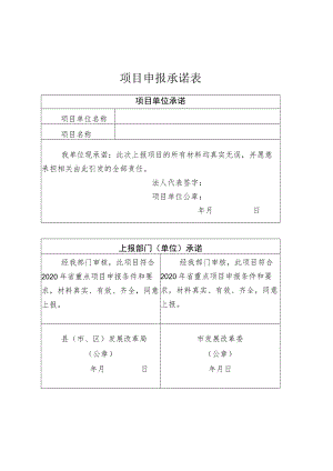 项目申报承诺表.docx