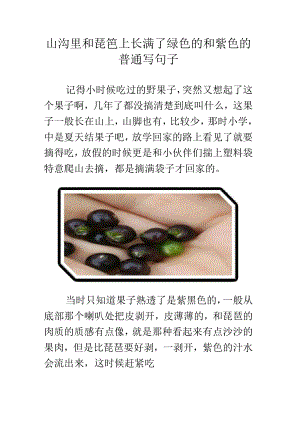 山沟里和琵笆上长满了绿色的和紫色的普通写句子.docx