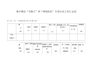 集中整治“号贩子”和“网络医托”专项行动工作汇总表.docx