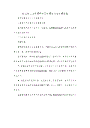 班组长以上管理干部的管理标准与管理措施.docx