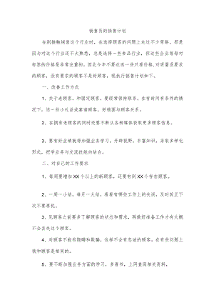 销售员的销售计划.docx