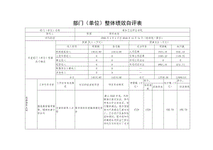 部门单位整体绩效自评表.docx