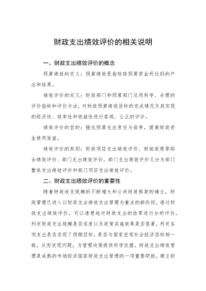 财政支出绩效评价的相关说明.docx