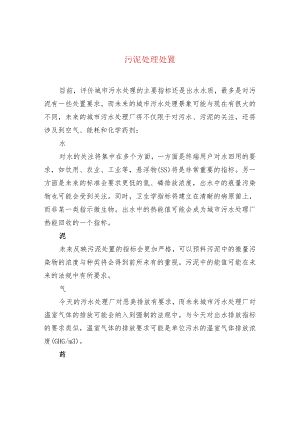水处理--污泥处理处置.docx