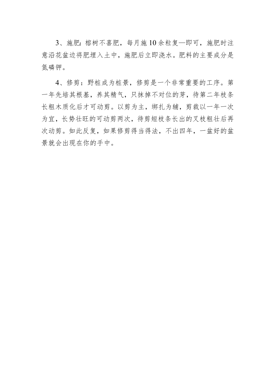 榕树盆景的养护.docx_第2页