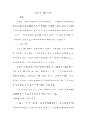 房地产中介的实习报告.docx