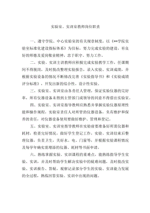 实验室、实训室教师岗位职责.docx